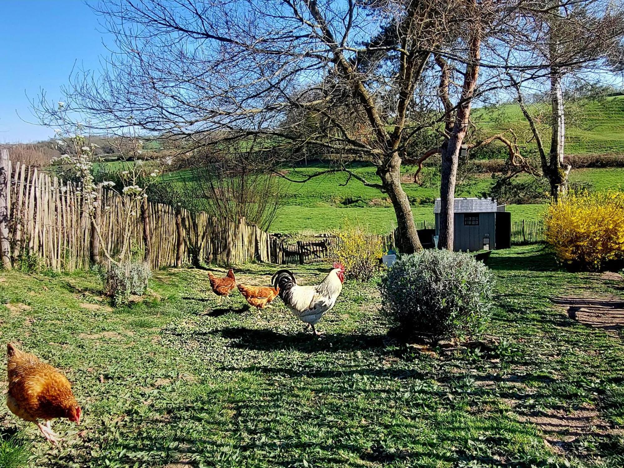 Maison Du Grand Moulin Saint-Aubin-en-Charollais Kültér fotó