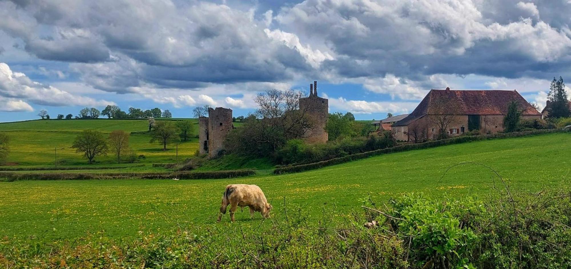 Maison Du Grand Moulin Saint-Aubin-en-Charollais Kültér fotó