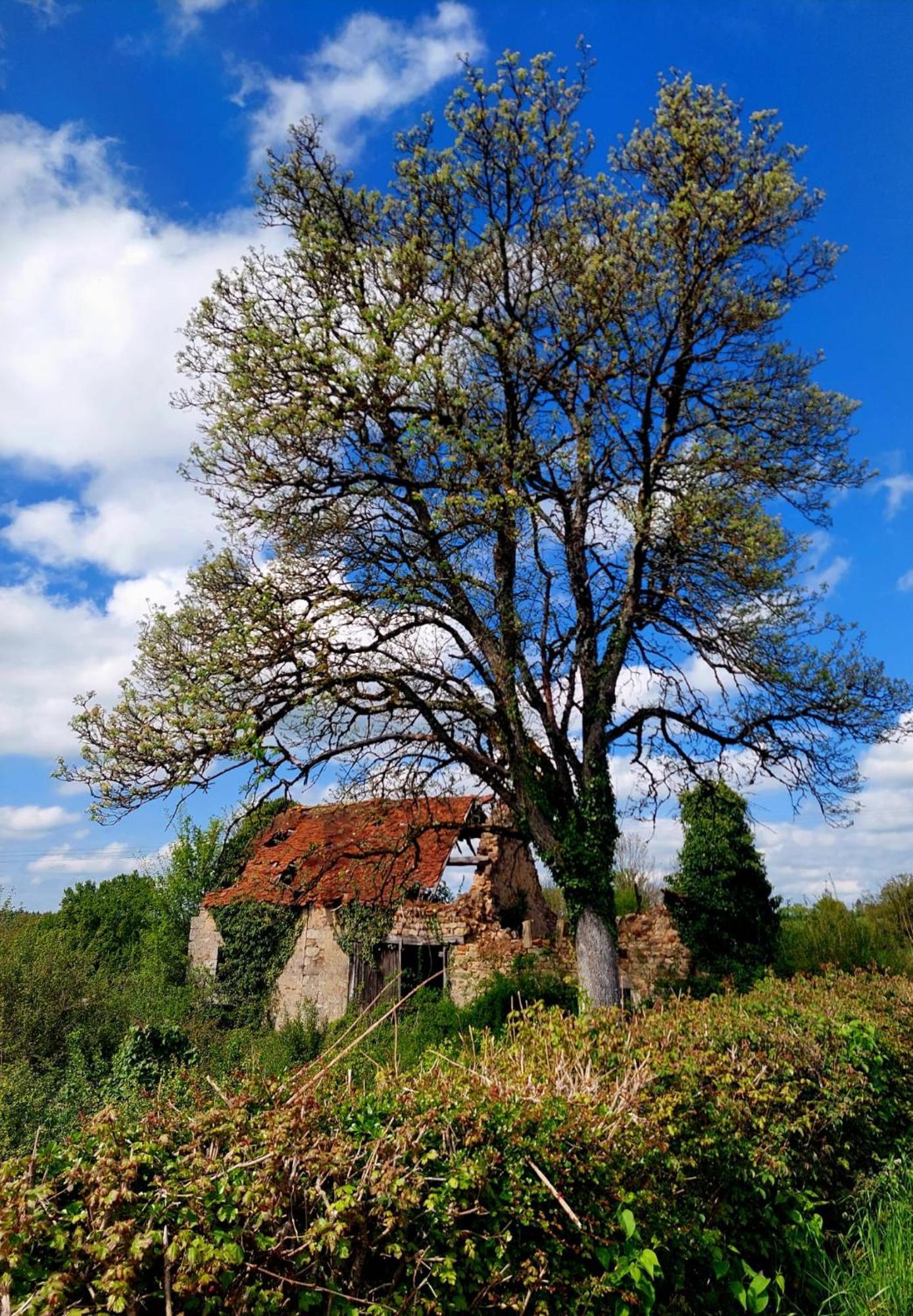 Maison Du Grand Moulin Saint-Aubin-en-Charollais Kültér fotó
